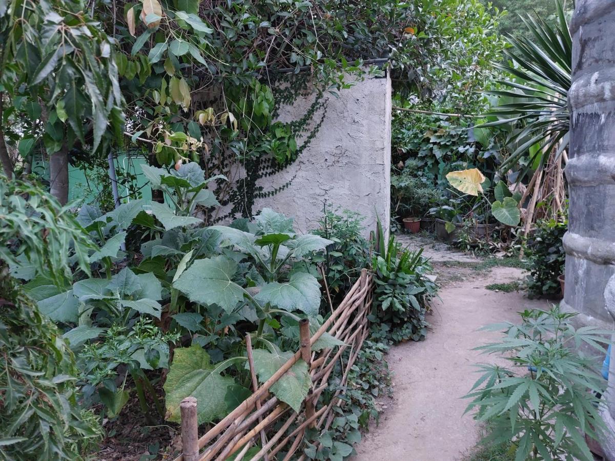 Thong Family Homestay Chiangdao Csiangdau Kültér fotó