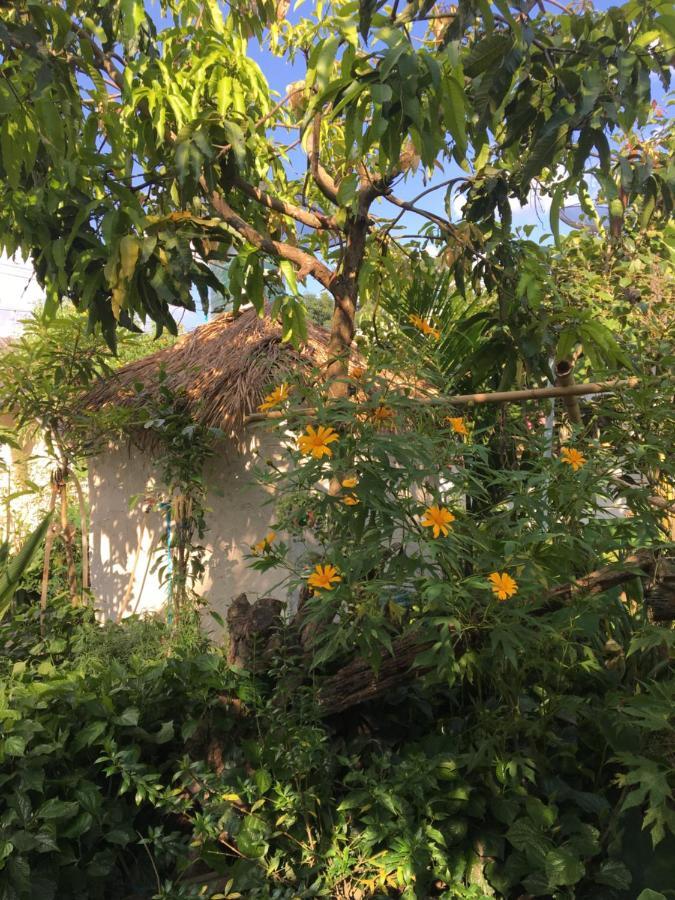 Thong Family Homestay Chiangdao Csiangdau Kültér fotó